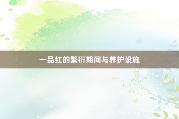 一品红的繁衍期间与养护设施