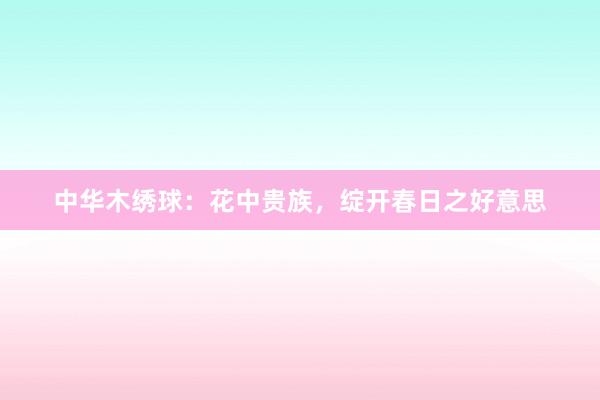 中华木绣球：花中贵族，绽开春日之好意思