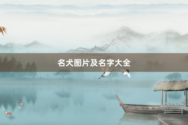名犬图片及名字大全