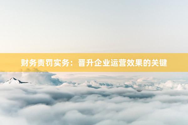 财务责罚实务：晋升企业运营效果的关键