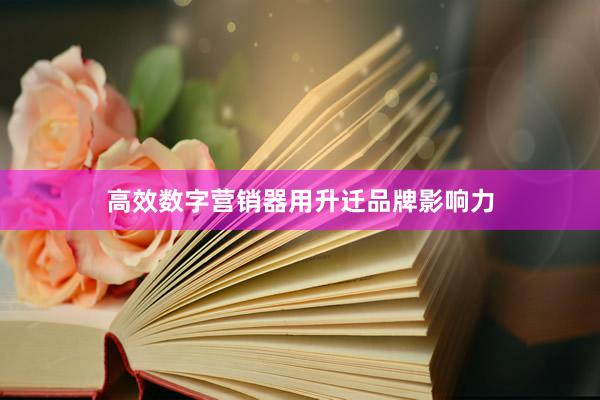 高效数字营销器用升迁品牌影响力